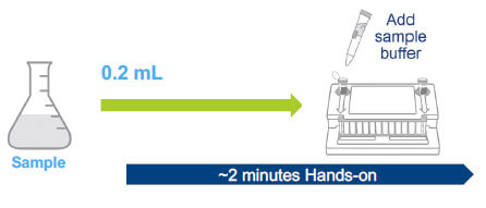 Sample protocol LOD 33CFU